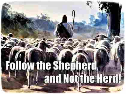 Trinity Teacher Uteah