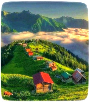 Peace Can Become a Reality 