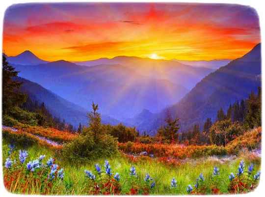 Teacher:  The Beloved One