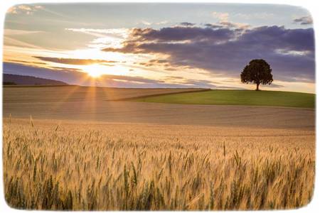 Trinity Teacher Uteah