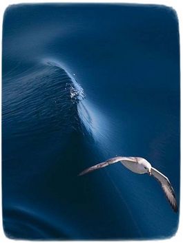 Trinity Teacher Uteah