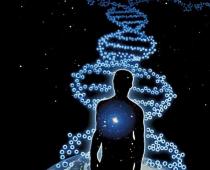 ДНК человека