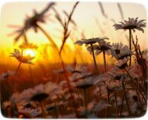 Троичный Учитель Ютиа